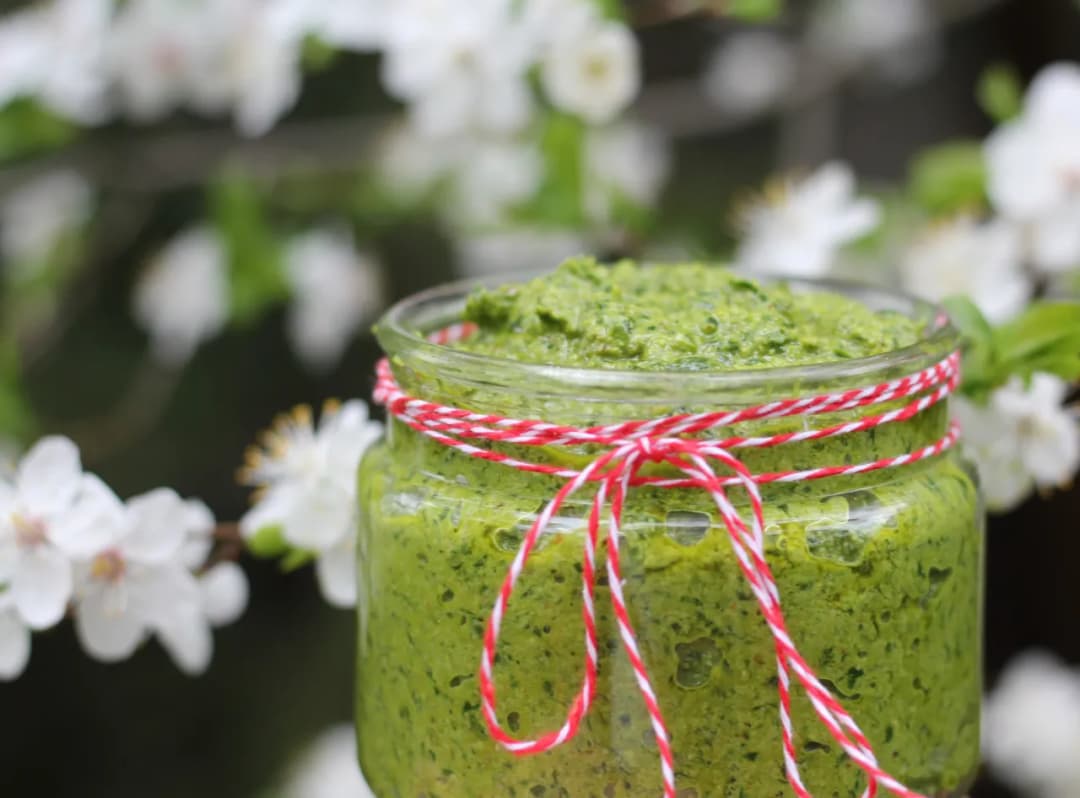 Jak wykorzystać pesto z czosnku niedźwiedziego w codziennych daniach Jak wykorzystać pesto z czosnku niedźwiedziego w codziennych daniach